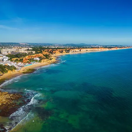 Rooftop Ocean View The Perch Daire